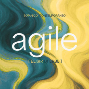 Aglie