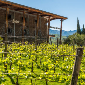 Cantina Toblino_Foto (1)