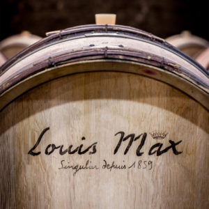 Louis Max_Foto (6)