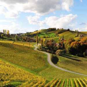 steirisches Weinland im Herbst, Verfärbung, Herbstfarben, Landschaft, Ausflugsziel