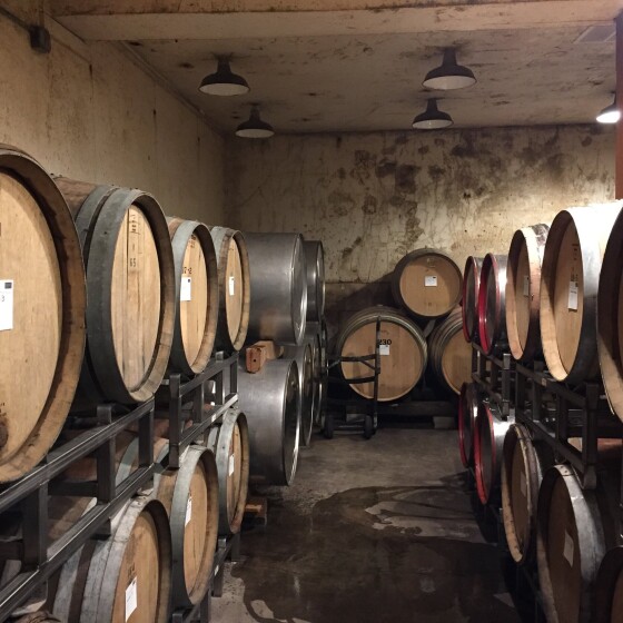 eyrie_vineyards_cellar