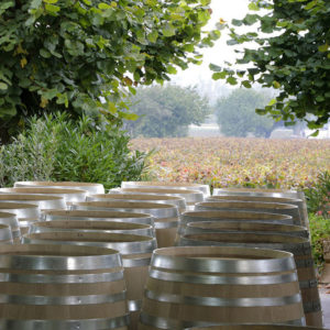image-moyen-new-casks