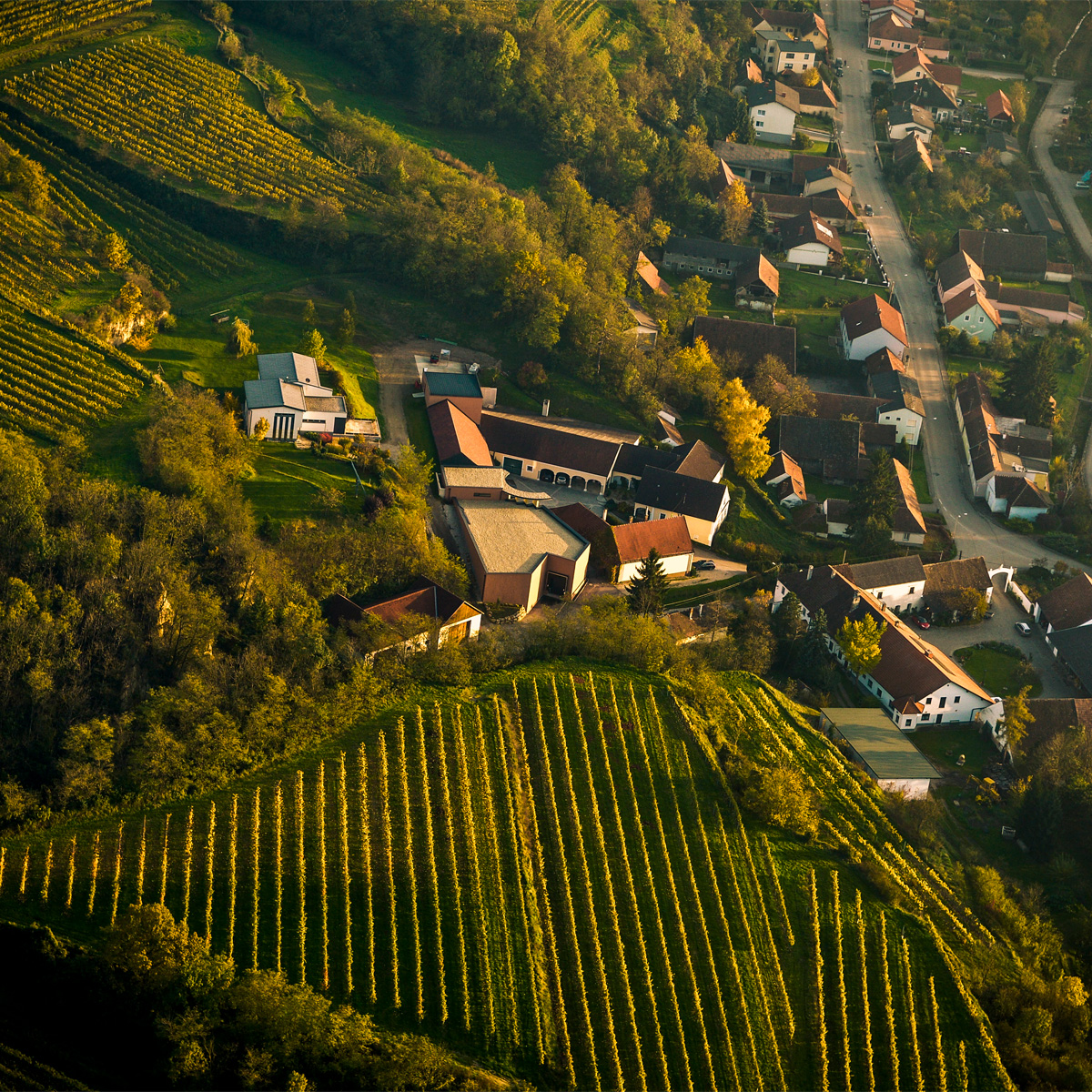 Karl Fritsch_Foto (1)