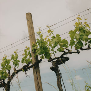 Karl Fritsch_Foto (10)