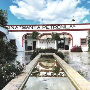 Santa Petronila_Foto (10)