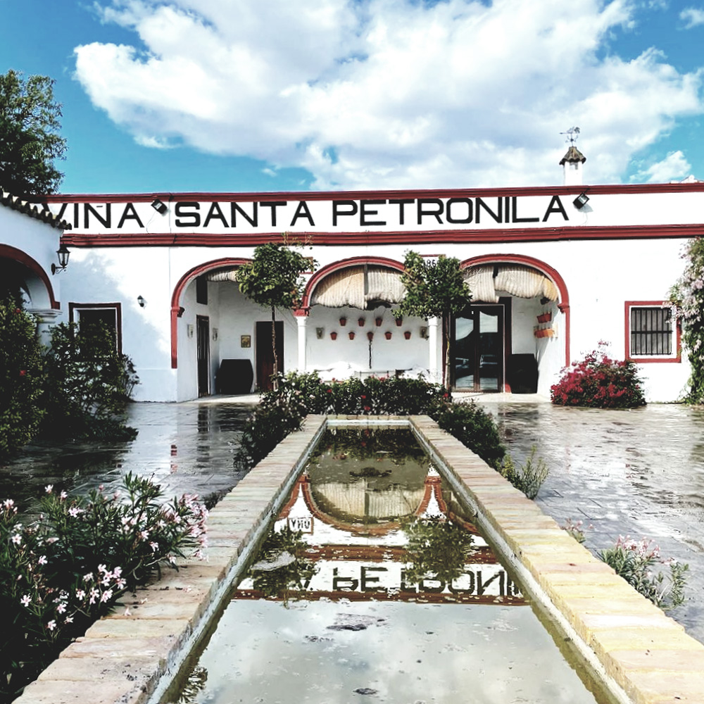 Santa Petronila_Foto (10)