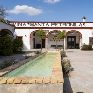 Santa Petronila_Foto (3)