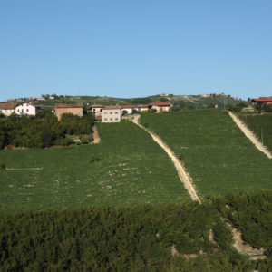 Cascina Baricchi_Foto (1)