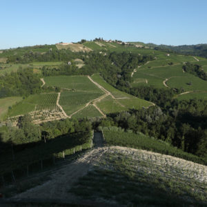 Cascina Baricchi_Foto (2)