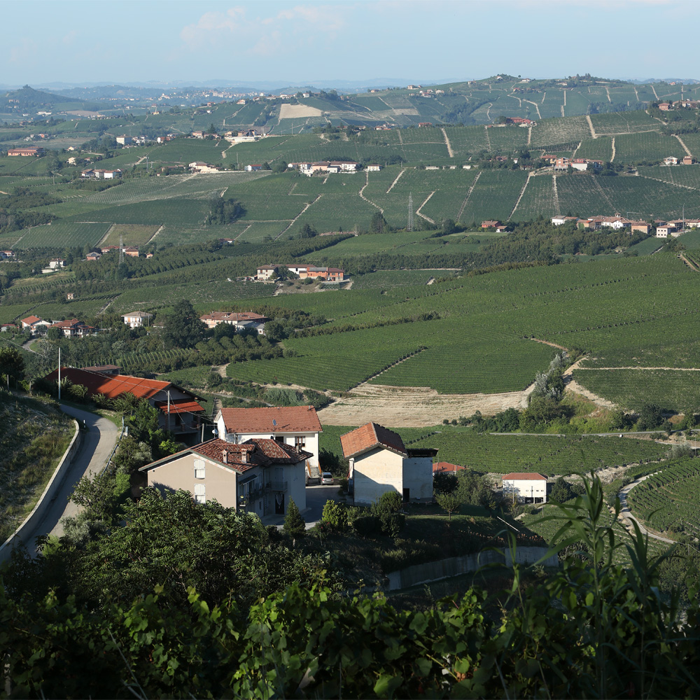 Cascina Baricchi_Foto (3)