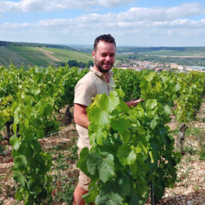 Domaine Jean Dauvissat_Foto (4)