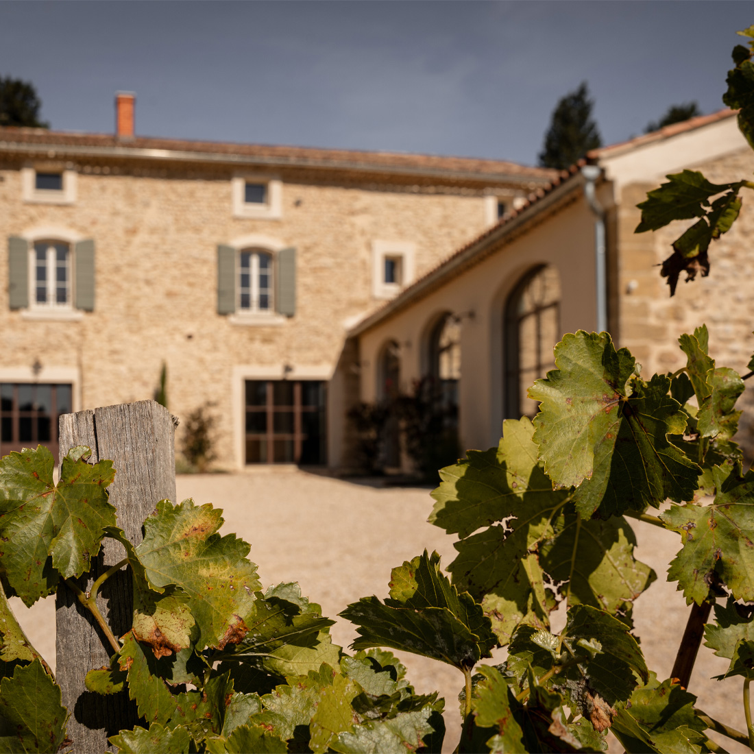 Domaine de Panisse_Foto (3)