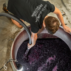 Domaine de Panisse_Foto (4)