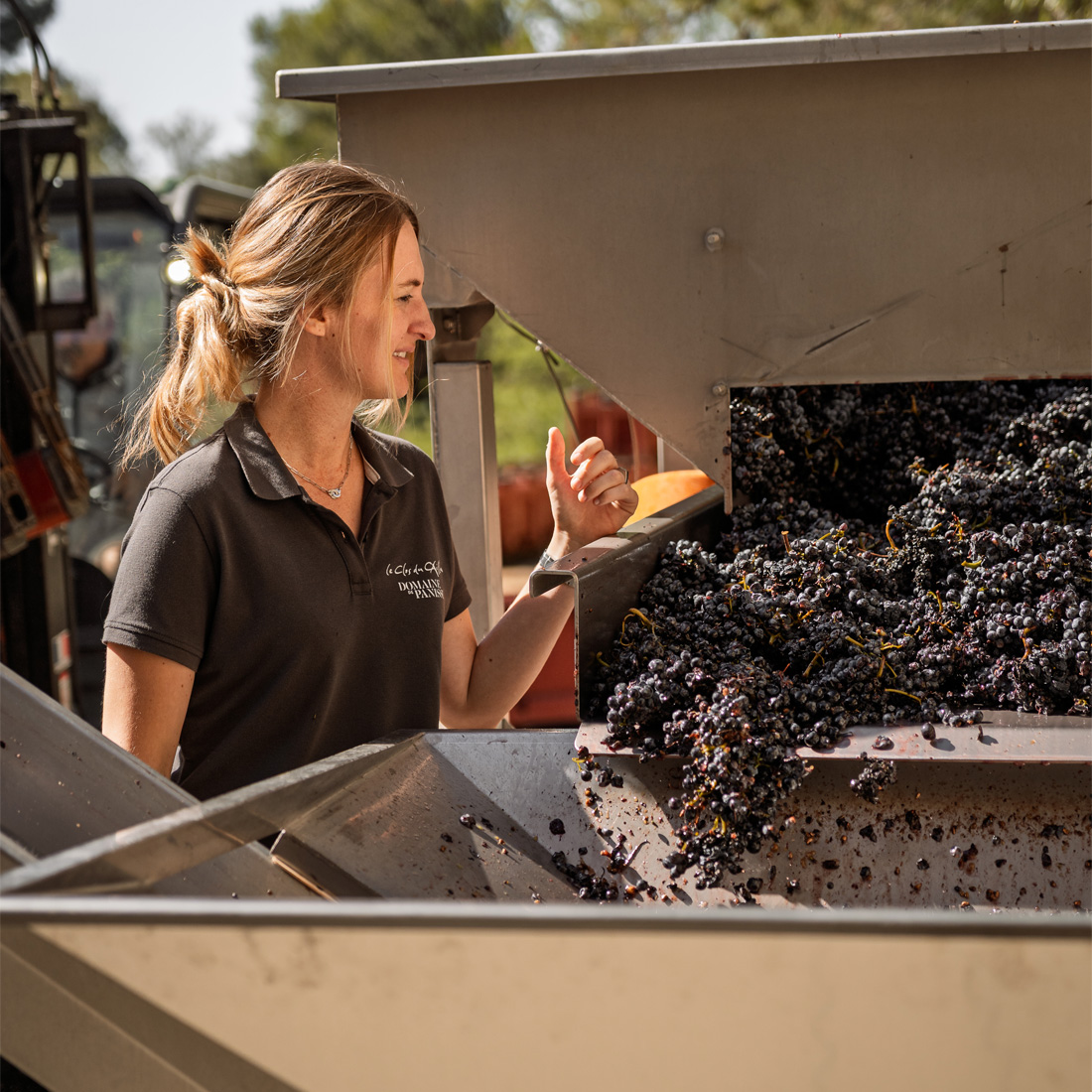 Domaine de Panisse_Foto (5)