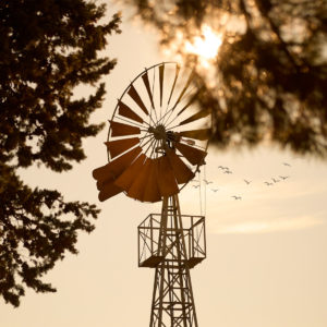 Domaine de Panisse_Foto (6)