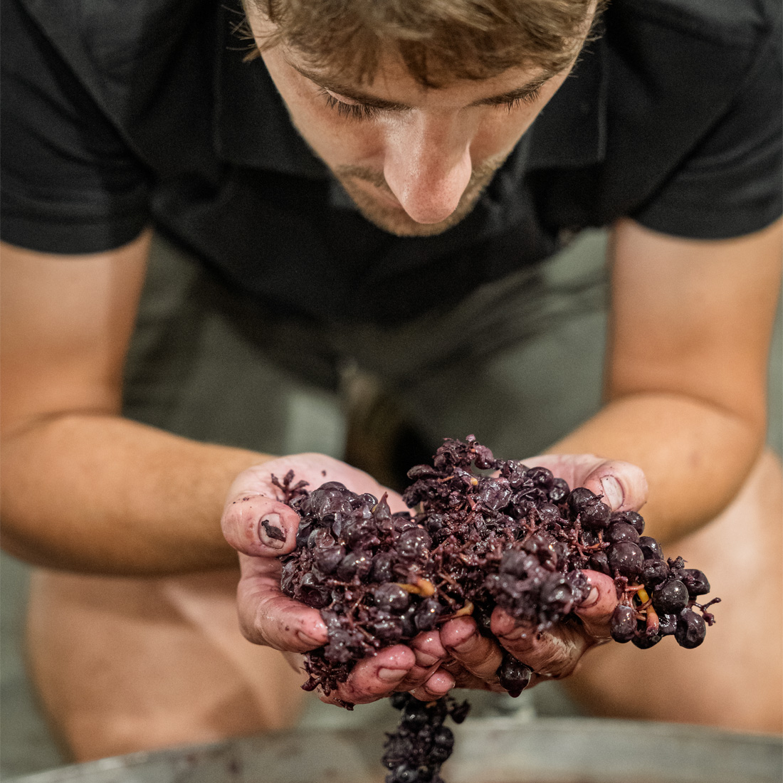 Domaine de Panisse_Foto (7)