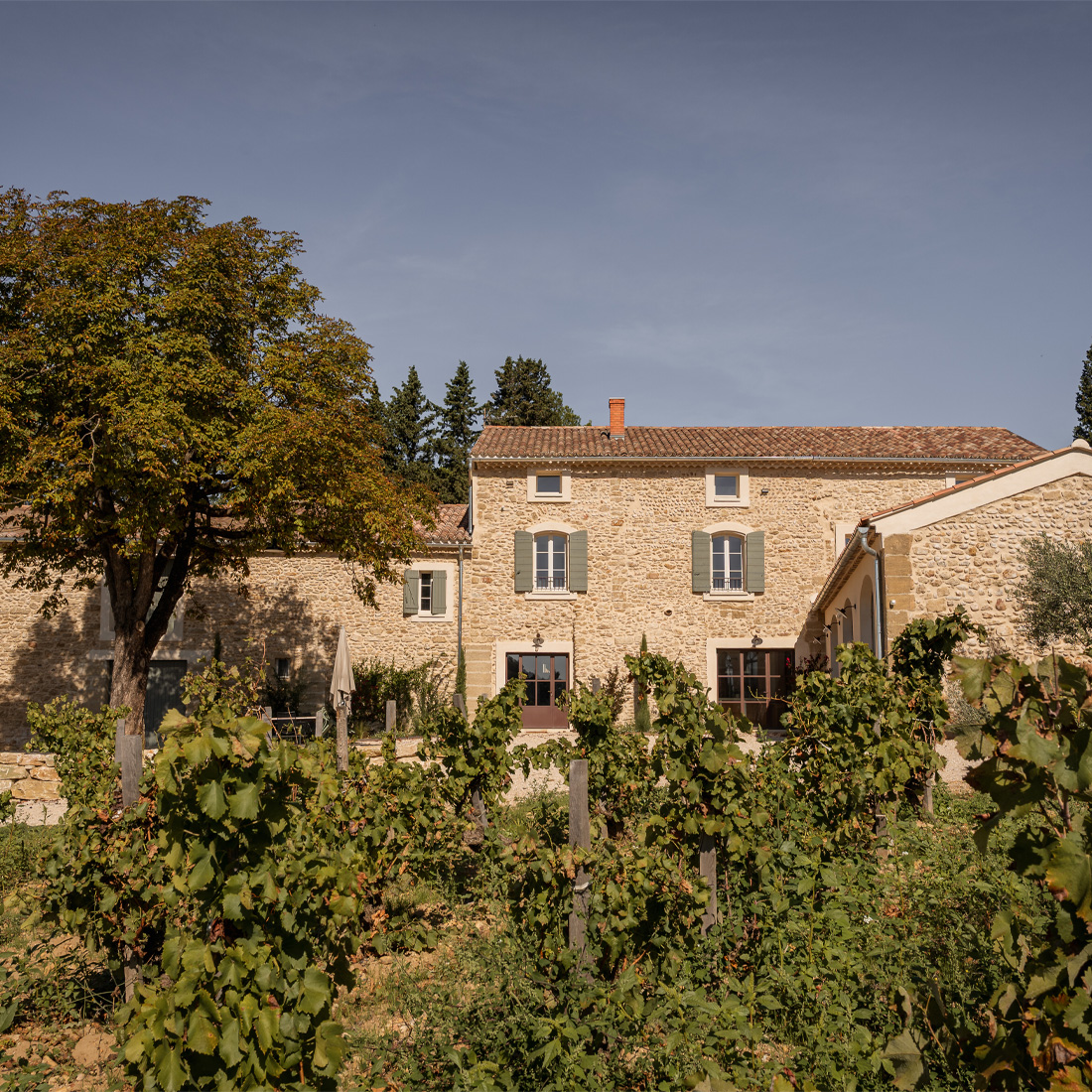 Domaine de Panisse_Foto (8)