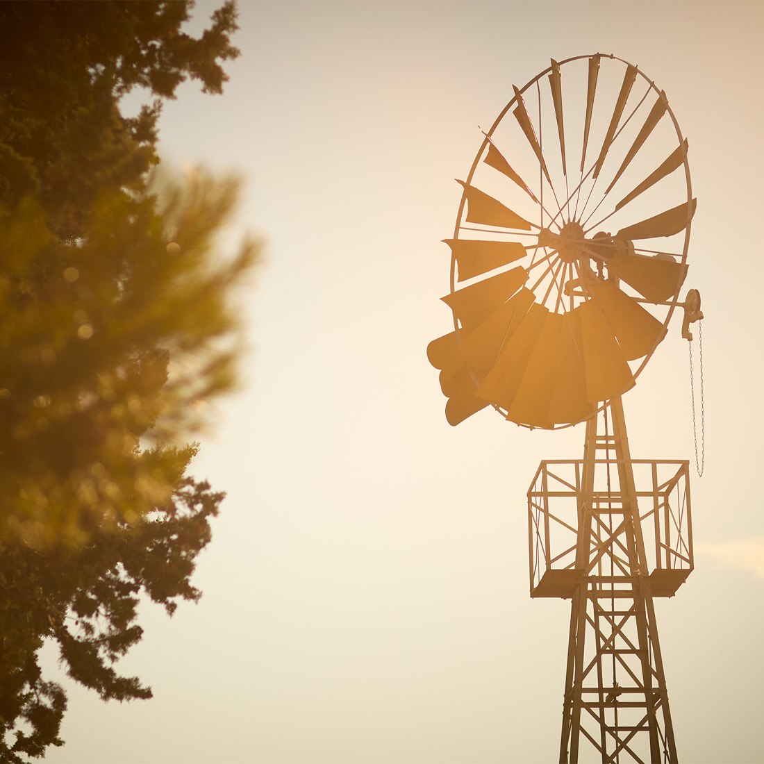 Domaine de Panisse_Foto (9)