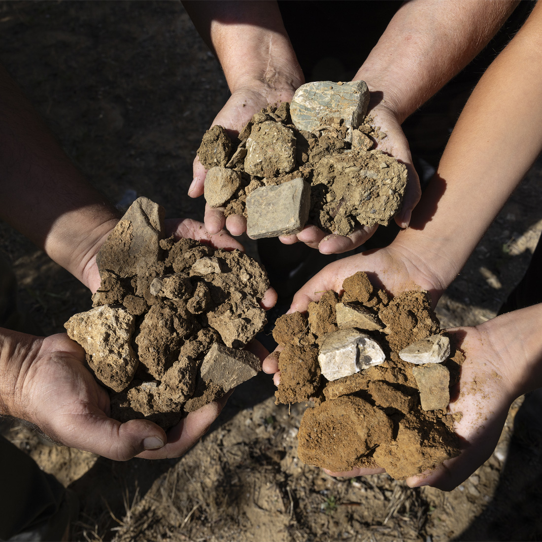 Uccelliera_Foto (12)