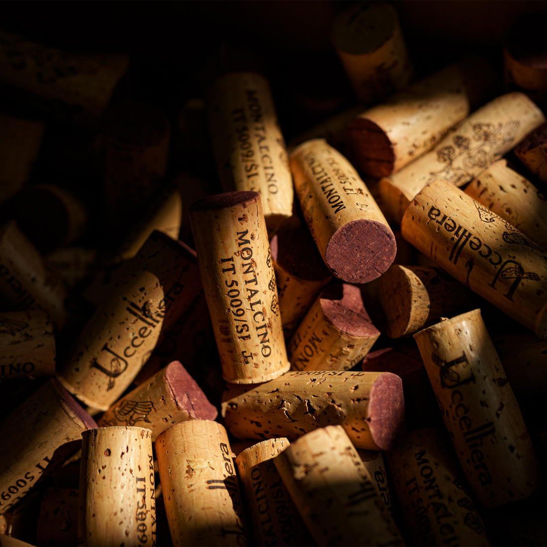 Uccelliera_Foto (13)