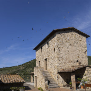 Uccelliera_Foto (14)