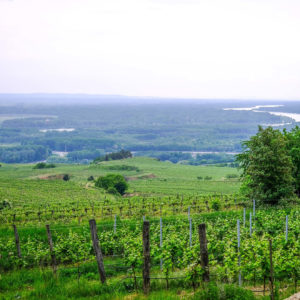 Christoph Hoch_Foto (2)